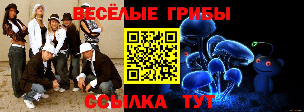 Галлюциногенные грибы Psilocybine cubensis Новочеркасск